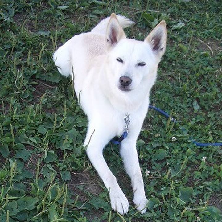 5bd1d6ea a08a 4006 a65a 9f07629e4601