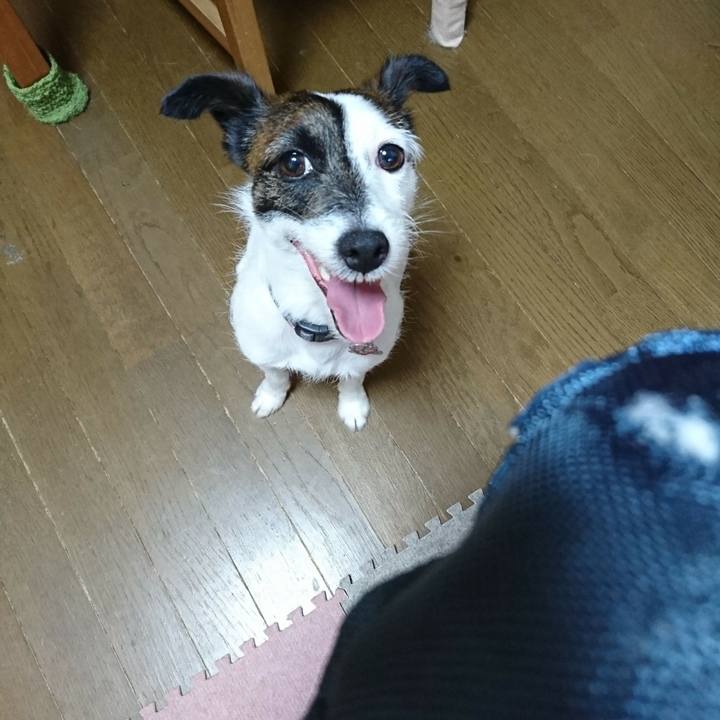 5bd24235 c5a2 4daf 9257 37d8c73c2a2b