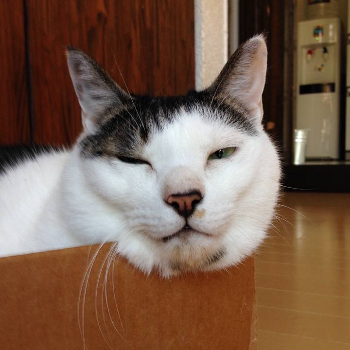 5bd2ad1b 1892 4b2e 9a99 309cb860fda1