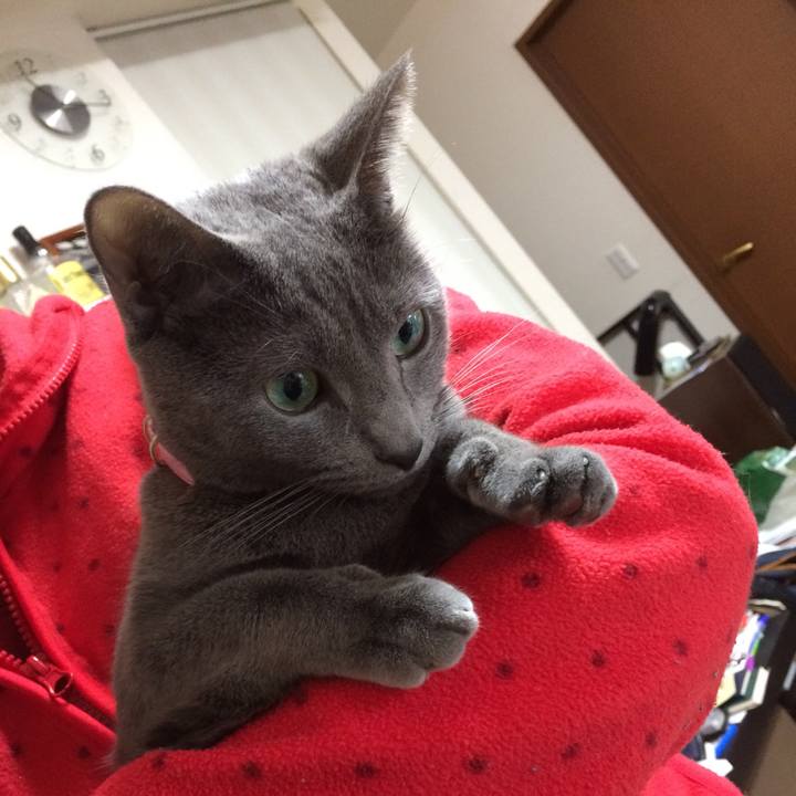 5bd2fdb0 3e95 43b1 acb9 50be3635f83a