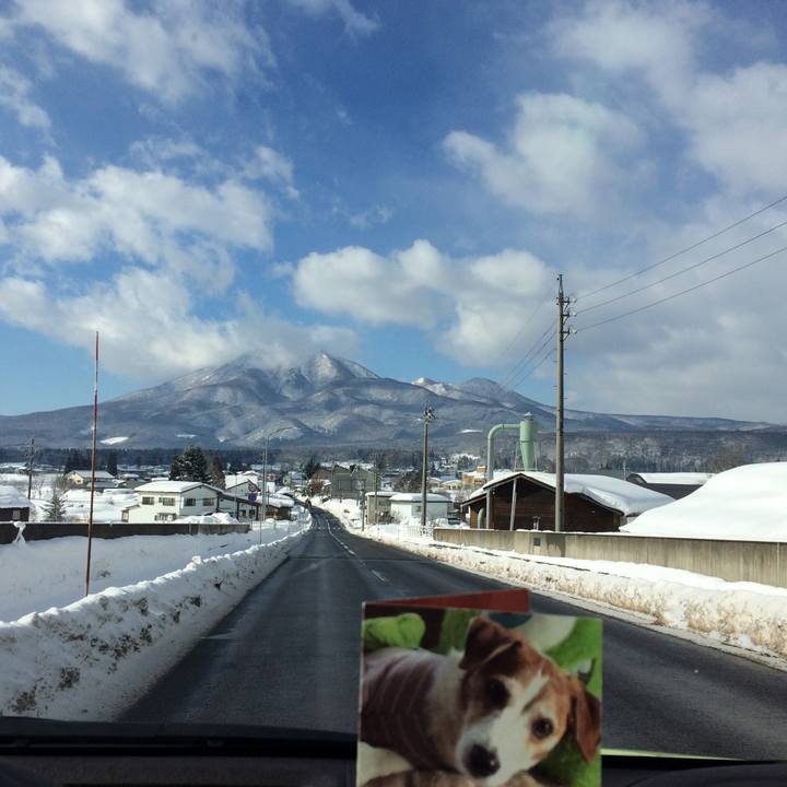 5bd342e2 c4b2 4ad5 b616 1adbc8216d23