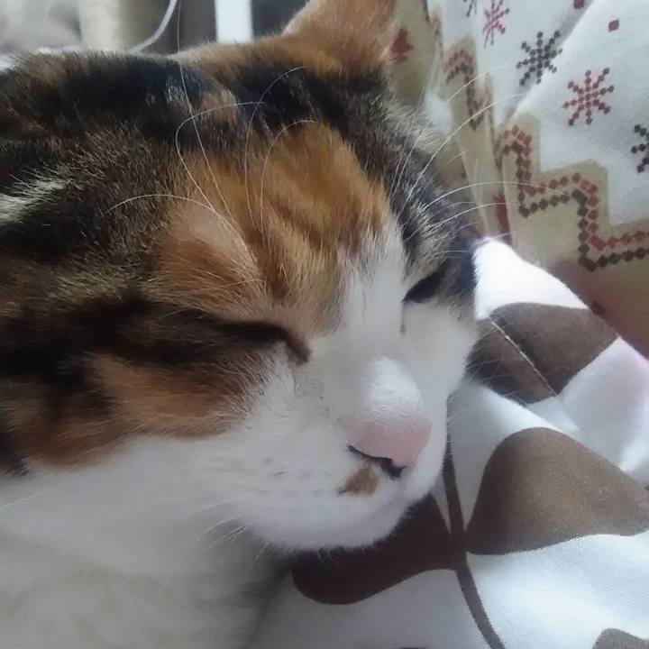 5bd37501 8137 4b06 a9d2 5179f72a9585