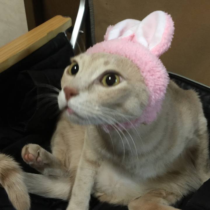 5bd3f65e d956 4ad0 a54f f27e6df1cd0e