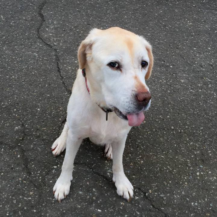 5bd45423 0278 4e65 86d1 f428b00f4c7b