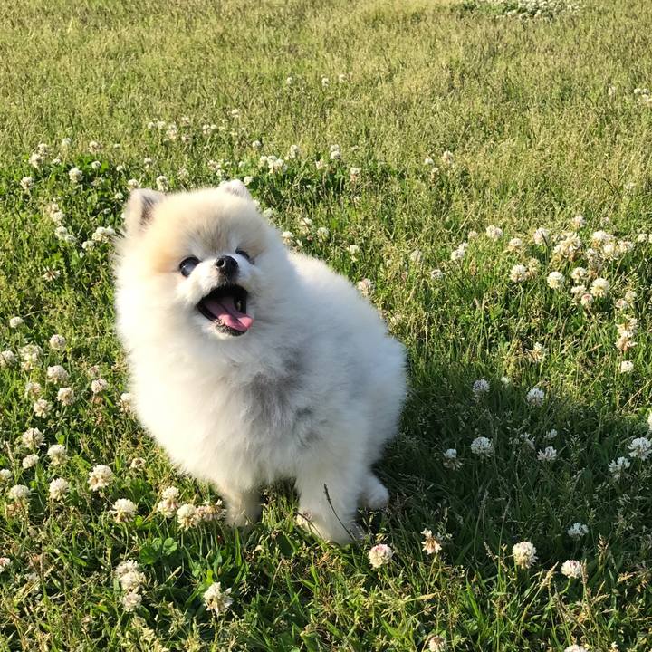 5bd499cf 06c4 46ec 8636 73a2afb80dc6