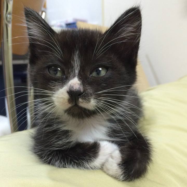 5bd54b80 b371 4776 9842 710691f4e95e