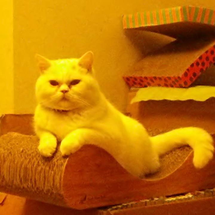 5bd649c0 d2f5 480a abb5 052ff323bf74