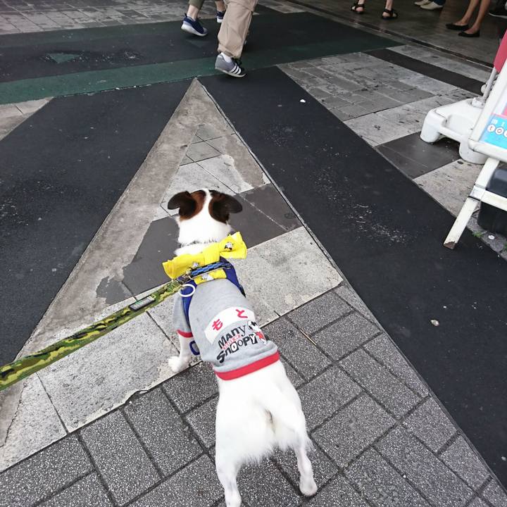 5bd6c458 6a7e 4117 9d22 f87d44c460d5