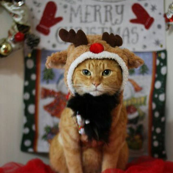 5bd77314 24d2 4909 b13a d534781a9d41