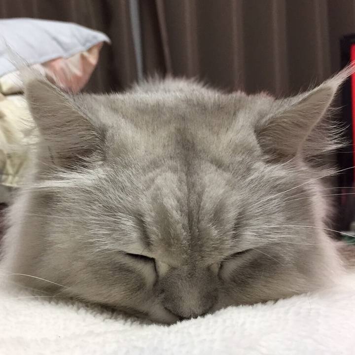 5bd7a5c0 60ad 4ffc a3d4 9f9a5f4315b0