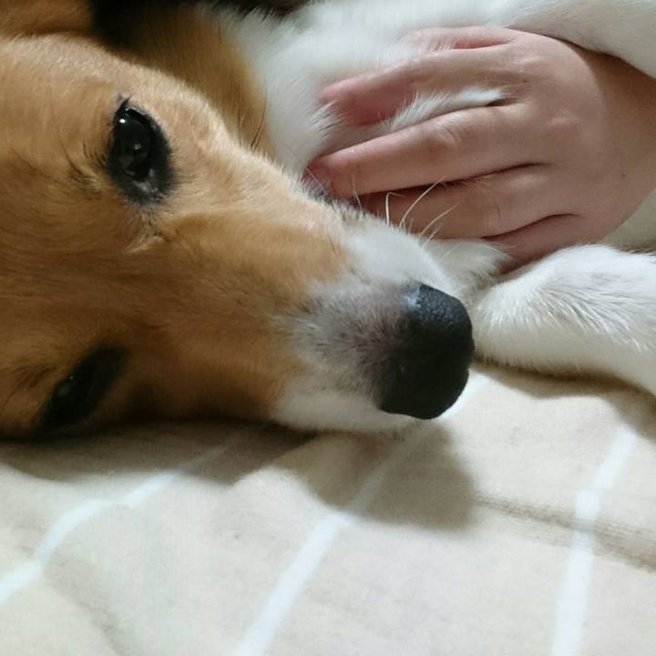 5bd84c3b c62e 4d59 8abc eca24df3e605