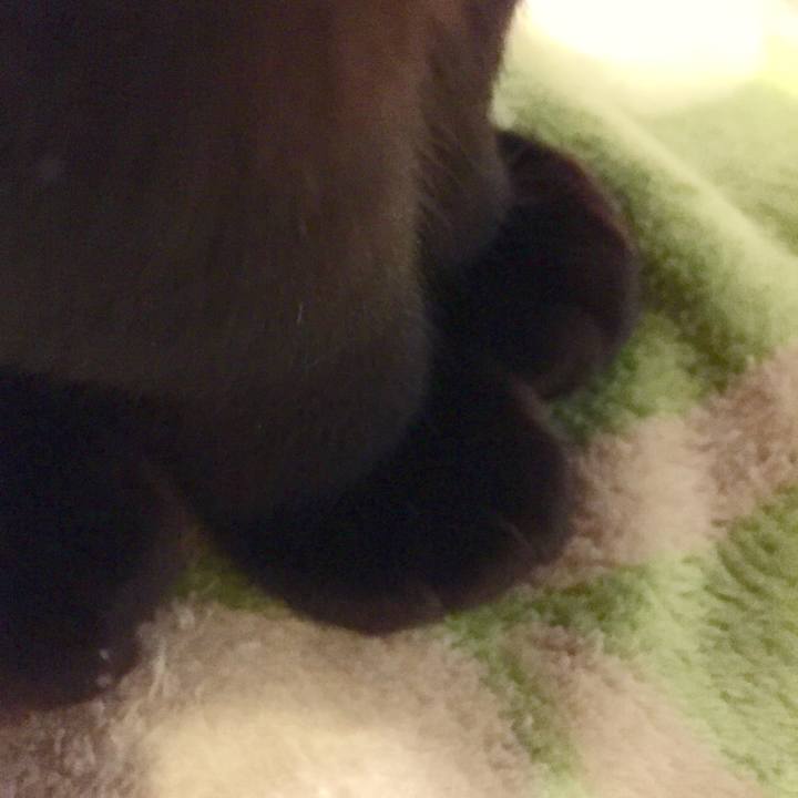 5bd9348f ec70 4888 ac7b 56d0d3d103e9