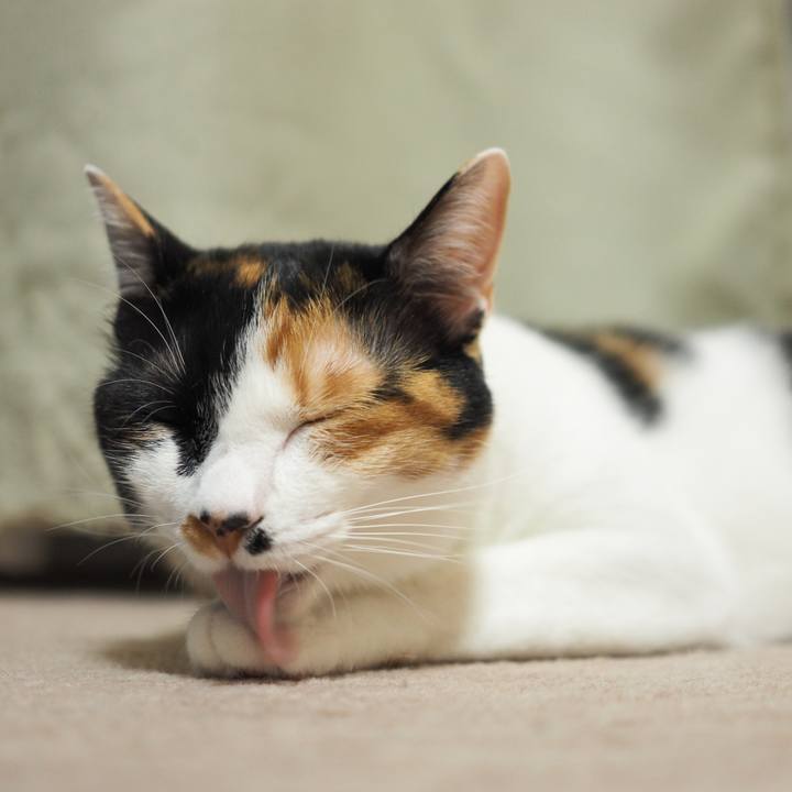 5bd9e699 014a 4a7c aeb8 6aacd2bde073