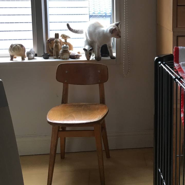 5bdb5d5e 894c 418b 96dd 339c90b59be5