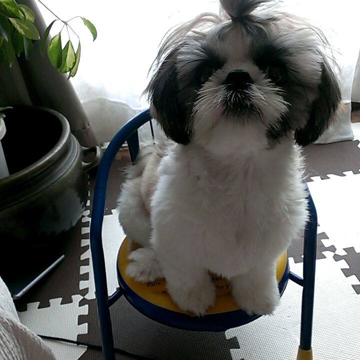 5bdb9dfc 2e30 4bac ac1c 098a9eb8c4d2