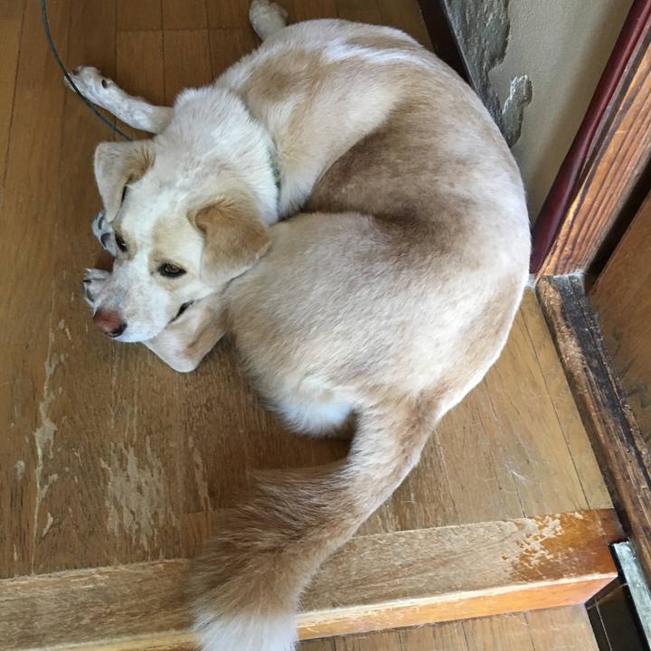 5bdba062 df07 4906 a097 ace349a1e02e