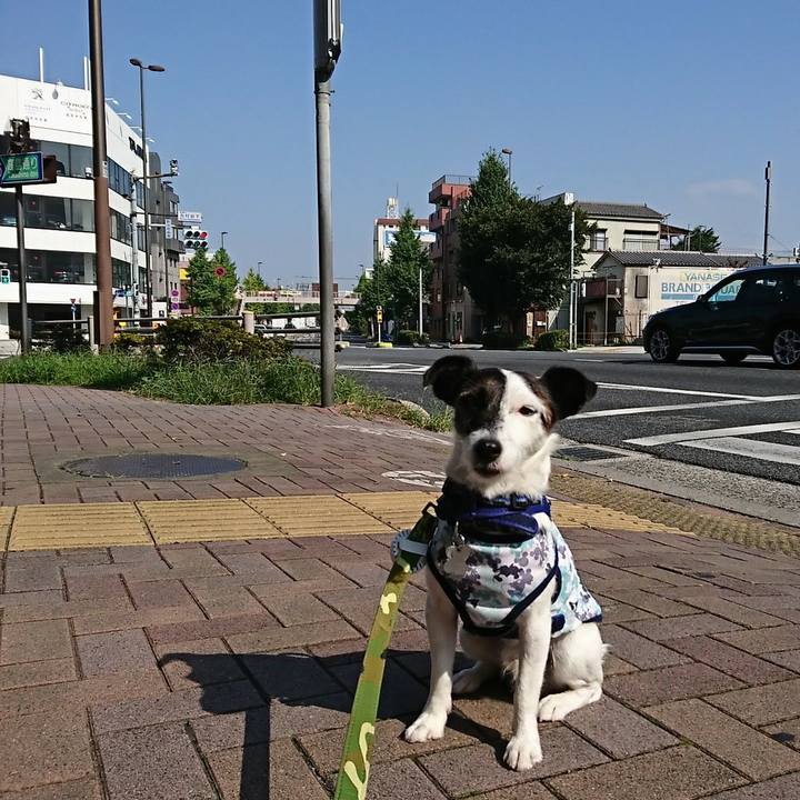 5bdbbba4 c4c2 459a 8767 b2bcb5df5813