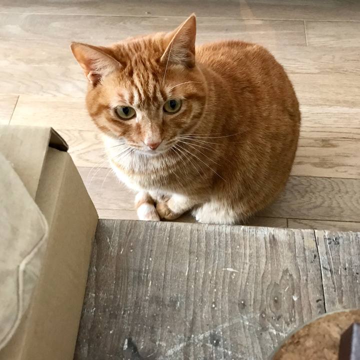 5bdc3888 ffdf 44ea a7df 1f52aae18e7f