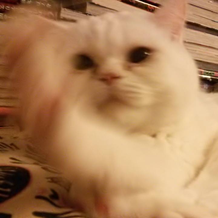 5bdc70a8 bdc9 4325 9b1e 5508dfe42134