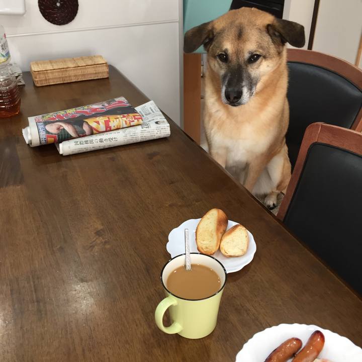 5bdd09d6 0858 46cd 8841 2fe786227b24