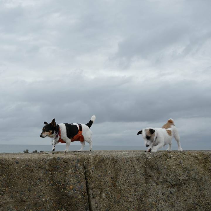 5bdd48e2 42ec 4a52 bb50 763ceb78be49