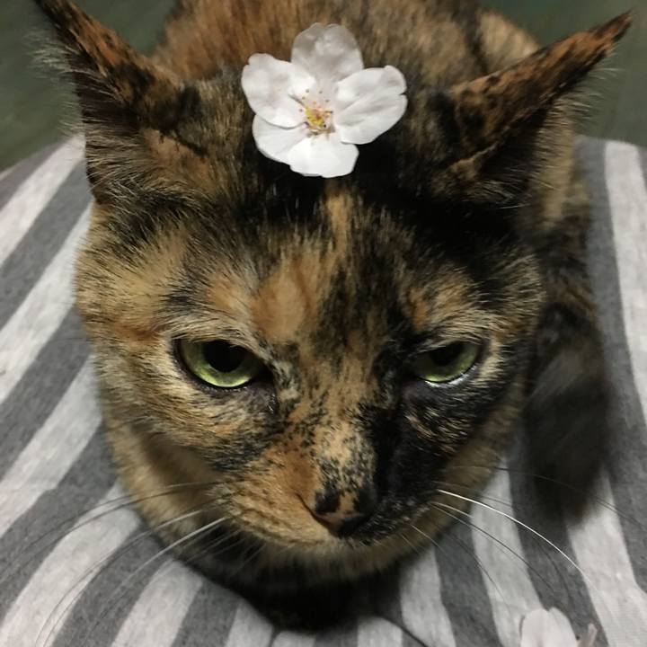 5bdd59f4 e748 4326 825e 4dd440cfeb07