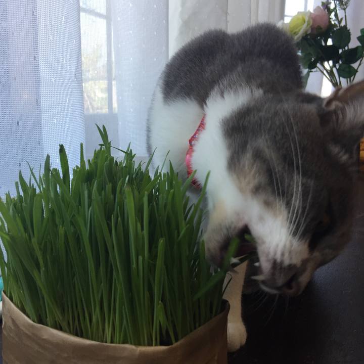 5bdd64a9 ce0f 4f77 b554 30a3a24b7e2e