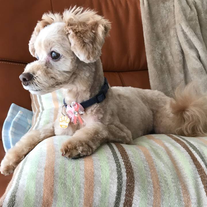 5bdd67e1 beaf 4469 aae5 265f90674d04