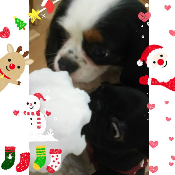 5bde2246 e7b3 43e0 ab1d 8c7f00e5e184