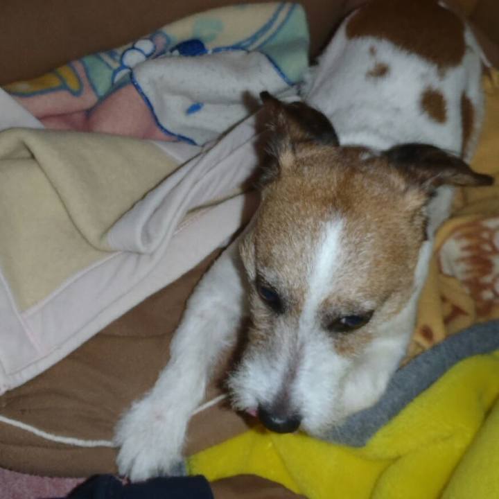 5be029b6 8adb 4a6c a5c4 0e071817a7a9