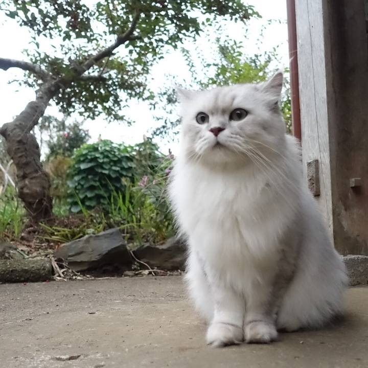 5be08944 a686 4e0b 9f0e 69423ebd90ec