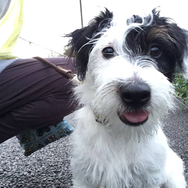 5be1621b 1733 43ee 9466 0d3424fbfe61