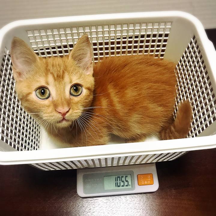 5be1e202 f76f 4aa7 8126 57e31e7f6bba