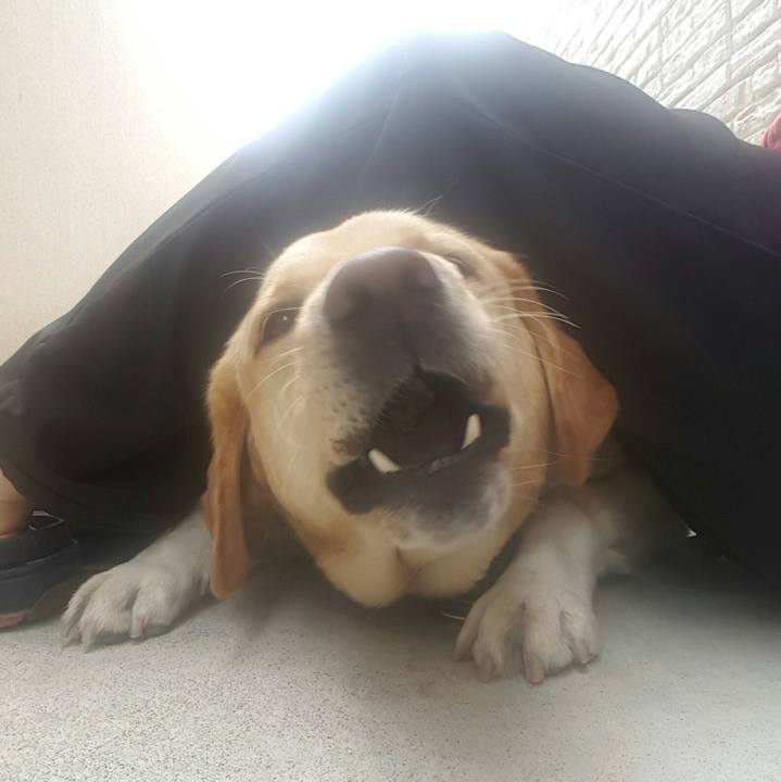 5be22437 bf04 445e adf5 dc93fecd7289