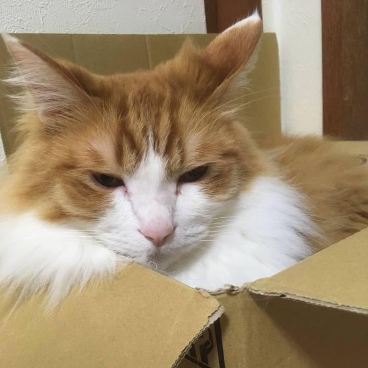 5be2ce63 e136 437d 8ab9 0ccd1e888f71