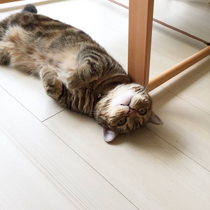 5be33ae7 0bef 40cc 867b b0d42392a88a