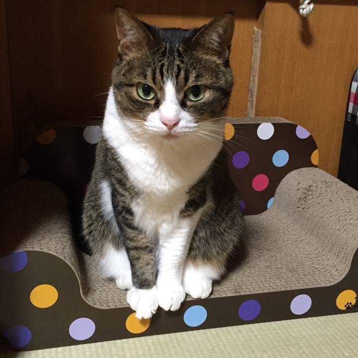 5be466cb fadd 4561 908b 5f6cae3cad13