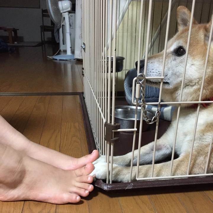 5be4f72e 2bcb 4ee7 8175 adb6e4b888ab