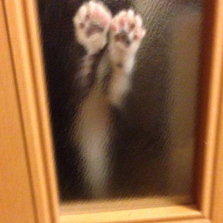 5be5143b e339 4f86 bf65 d15ce2ffb022