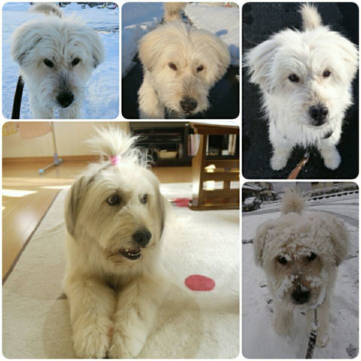 5be57c76 7dcc 4ceb 9d10 7ad3c32e6f04