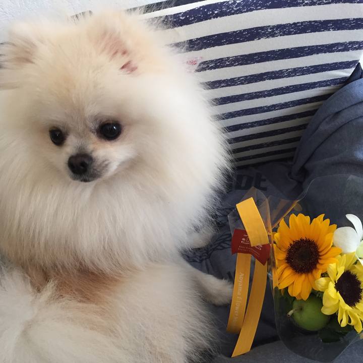 5be651fa e5ee 49ec b4d5 21f643b12936