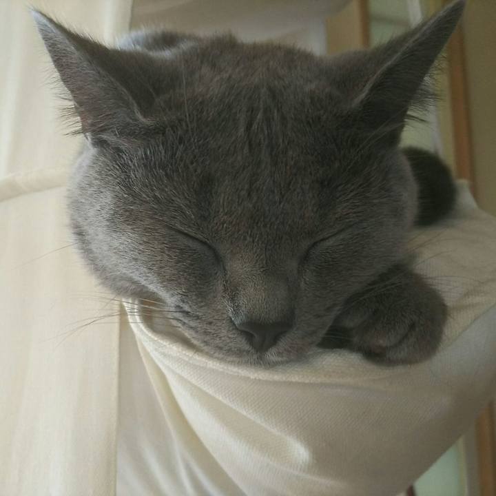 5be675dc 832a 4a44 9e58 c166f9cf6492