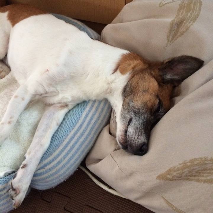 5be77f91 2714 493d b7a3 4f5a19046657