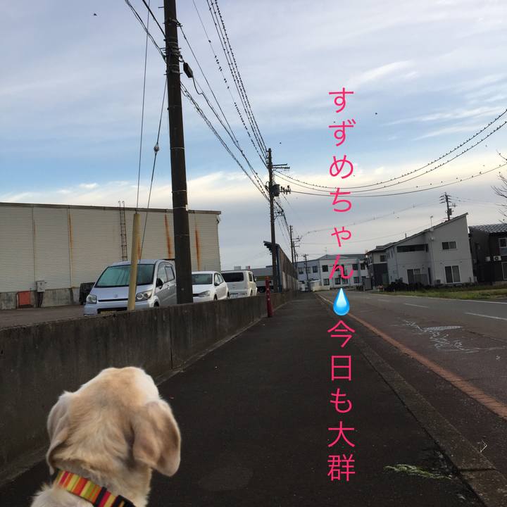 5be78640 e154 4688 b02a b49ad61a2349