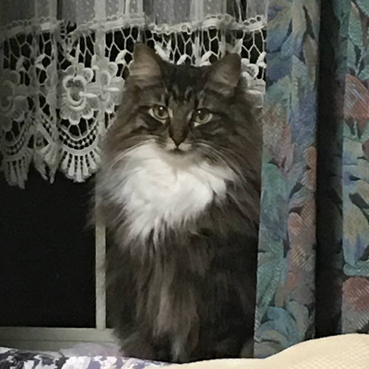 5be80eac a211 4ba1 8ccb 3206deb31f0c