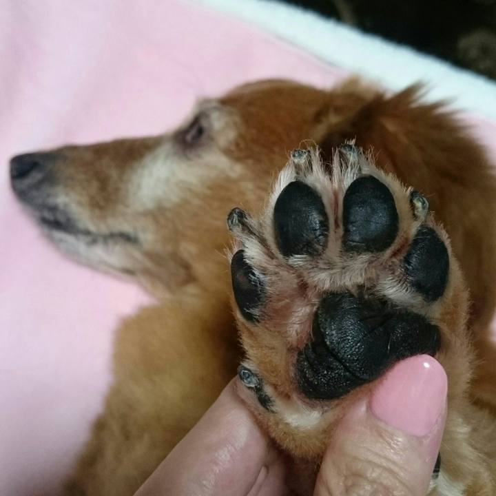 5be83003 7b4b 452e ac90 3d4a91bcda5b