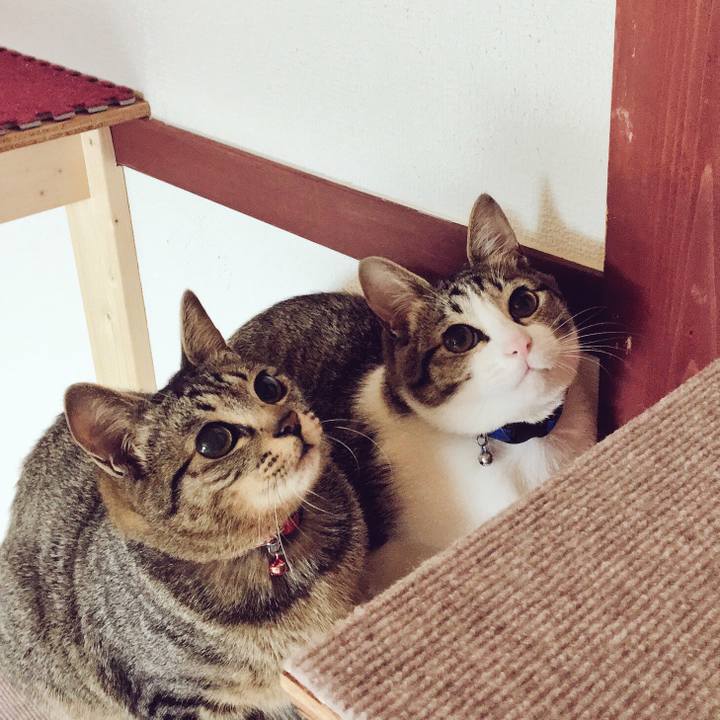 5be9d54f cb63 439c 8917 4aedd00669e8