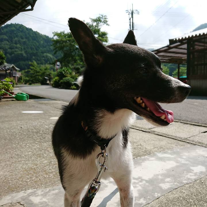 5bea0813 bfb4 4ca9 a9fa ce5f8c6e1080