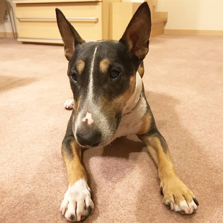 5bea0a0d a596 4a99 bf44 0d72b86225a2