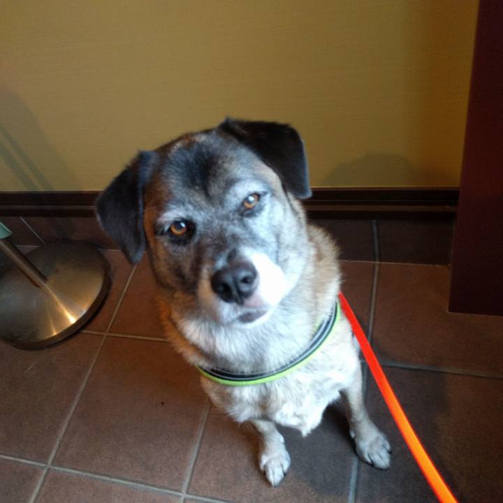 5bea957b 956e 4084 9672 22385da5e82c